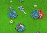 Mushroom Madness