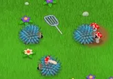 Mushroom Madness