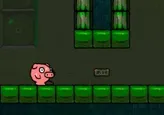 Pig Dream