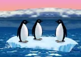Pingüinos - Turbochargued Penguins!
