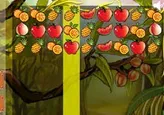 All I Need Is Fruit