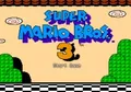 Super Mario Bros 3