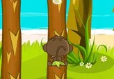El mono hambriento: Platanos y setas