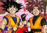 Dragon Ball Card