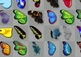 La búsqueda de las mariposas