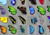 La búsqueda de las mariposas