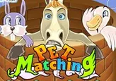 Pet Matching