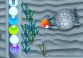Hasty Turtle
