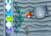Hasty Turtle