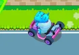 Carrera de karts en el zoo