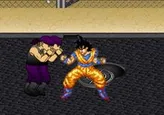 Dragon Ball Z: Goku Fusion