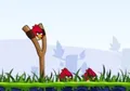 Angry Birds