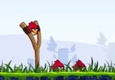 Angry Birds