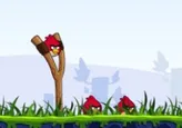 Angry Birds