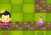 Save The Princess