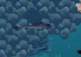 Azurefish