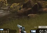 Flash Crisis